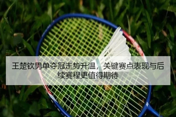 王楚钦男单夺冠走势升温，关键赛点表现与后续赛程更值得期待